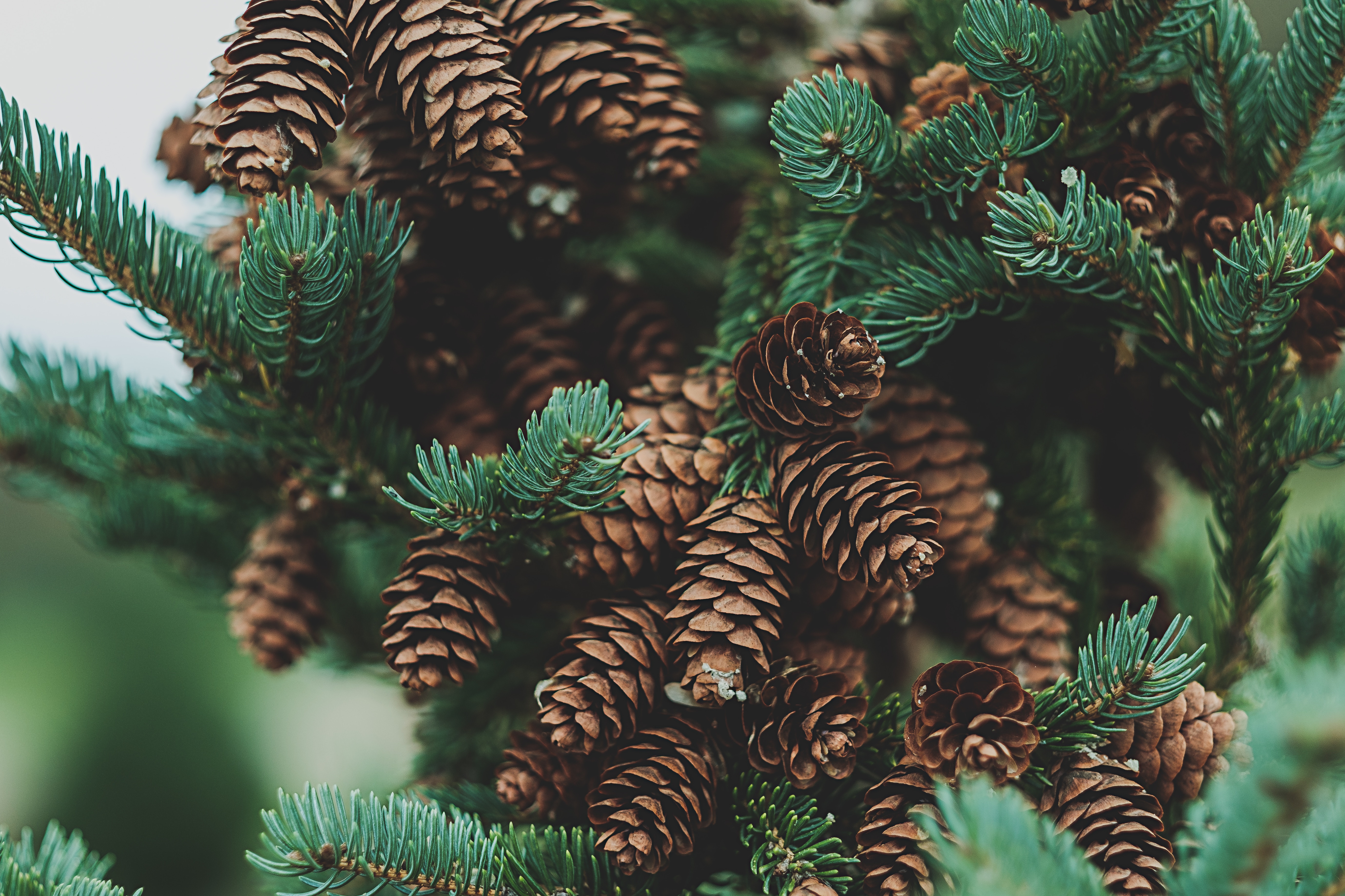 7 Ways Employers Can Create A Nourishing Holiday Season For Employees